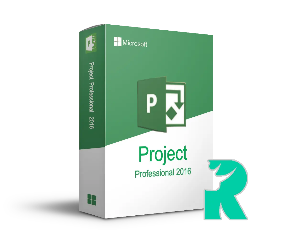 Project 2016 Professional
