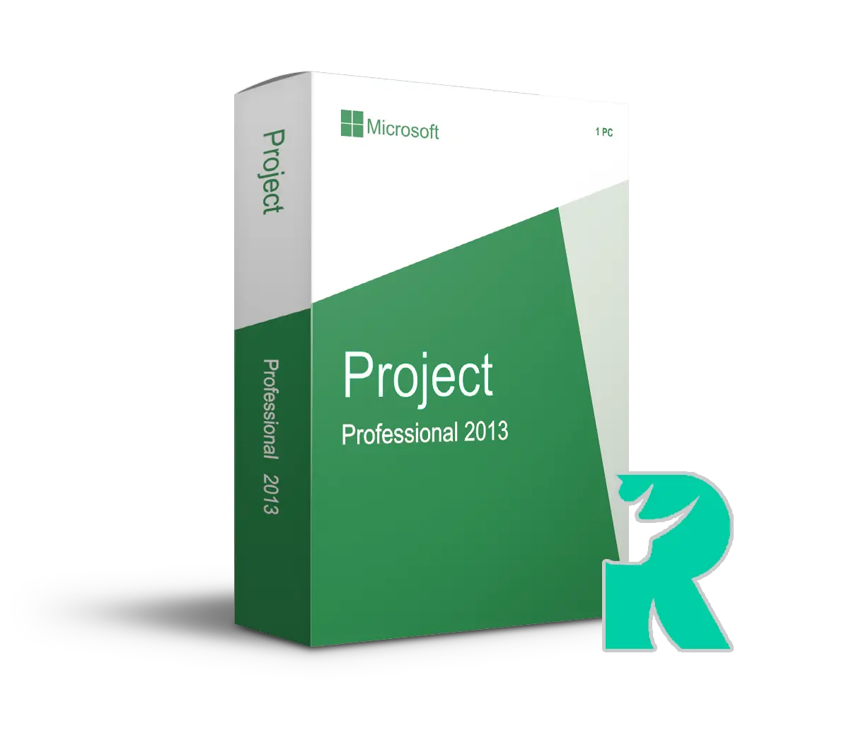 Project 2013 Professional